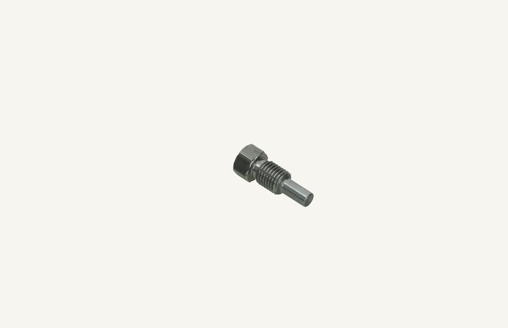 Special screw M10x1.25x25mm