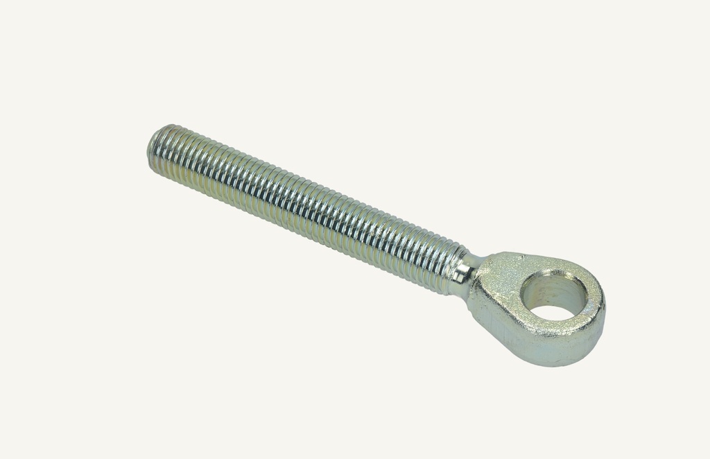 Hinge bolt M20x2mm