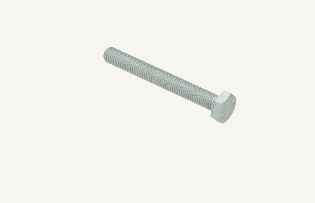 Hexagon head screw M10x1.25x80