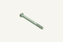 Hexagon head screw M10x1.25x100mm