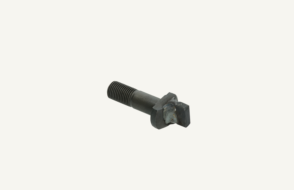 Special screw M12x1.25x38
