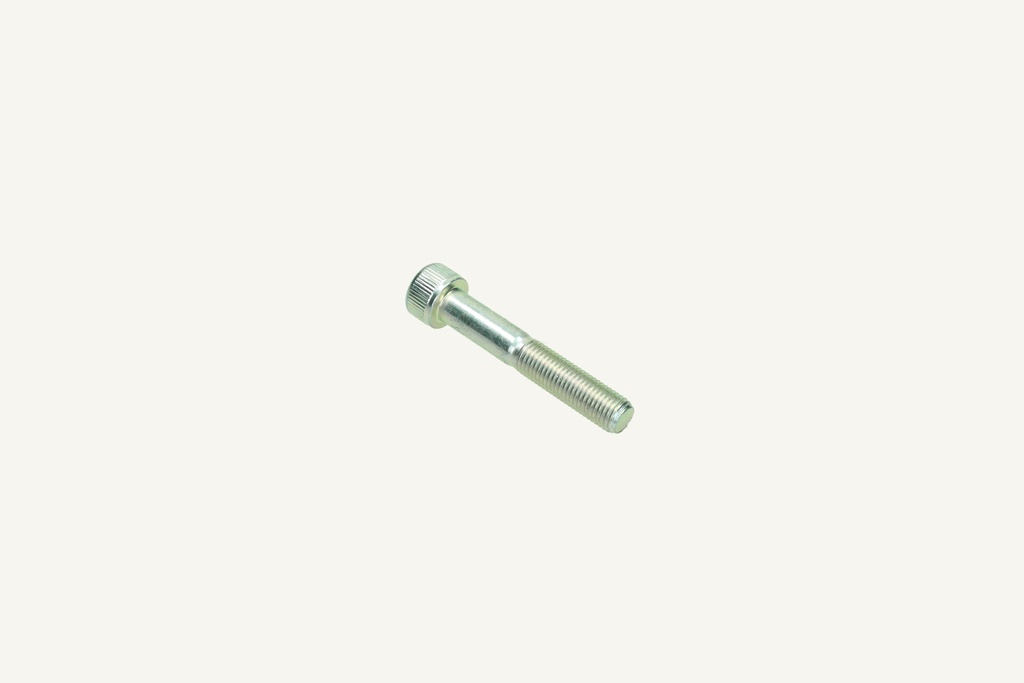 Hexagon socket screw M10x1.25x60 10.9