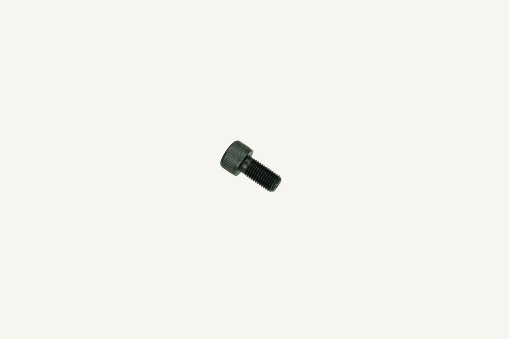 Hexagon socket head cap screw M10x1.25x20 10.9