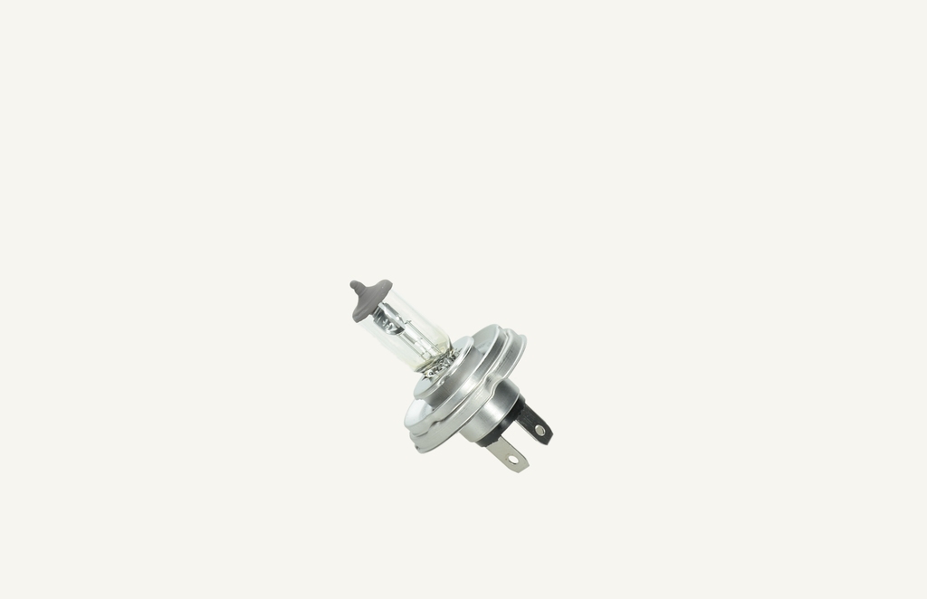 Halogen bulb 12V 45/40W P45t