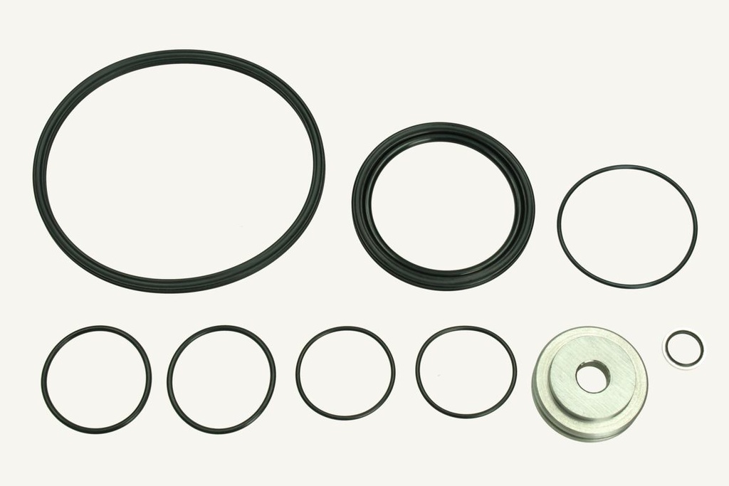 Gasket set Conax clutch Pauli