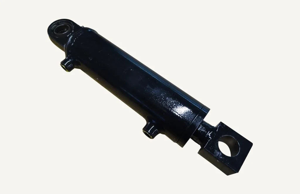 Hydraulic Cylinder Pauli 30x60