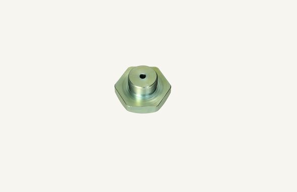 Lubricating screw D40