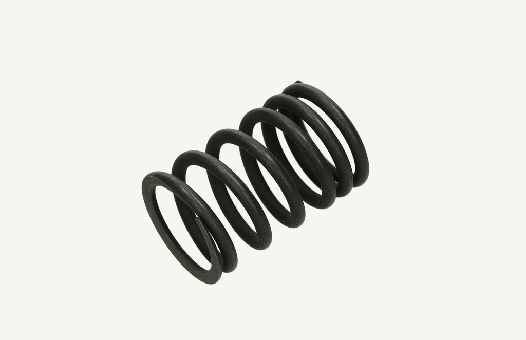 Valve spring 55x36mm