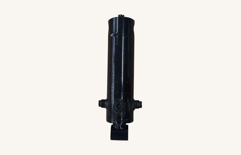Lift Cylinder Sauter 35x70x307mm