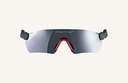 Protos Integral safety goggles grey