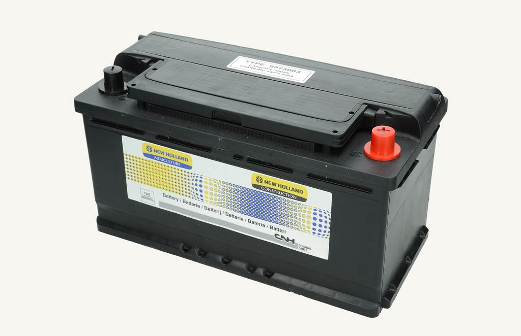 Batterie humide 12V 100Ah 800A sans entretien