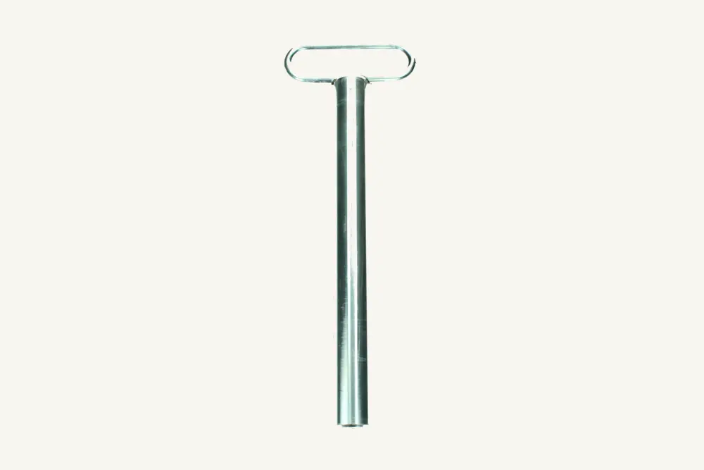 [1064697] Stecknagel komplett 31x260mm