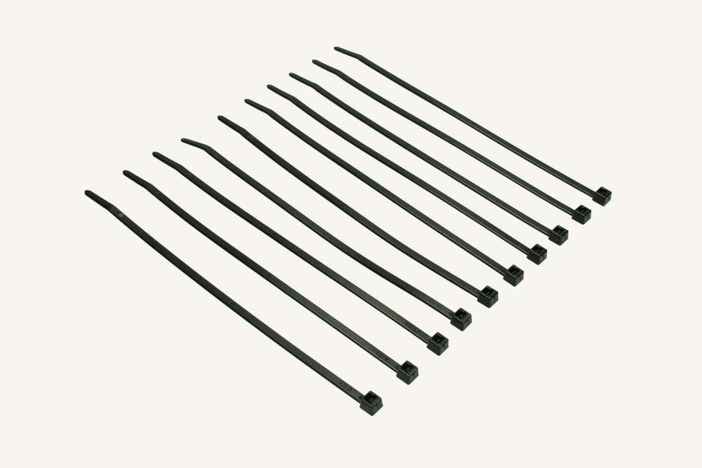 Kabelbinder schwarz Kit 10 Stück 4x170mm