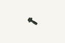 Banjo bolt M8x1.25x20 Used