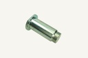 Bolt 40x103mm