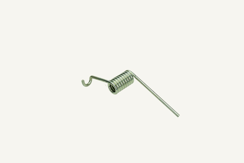 Torsion spring