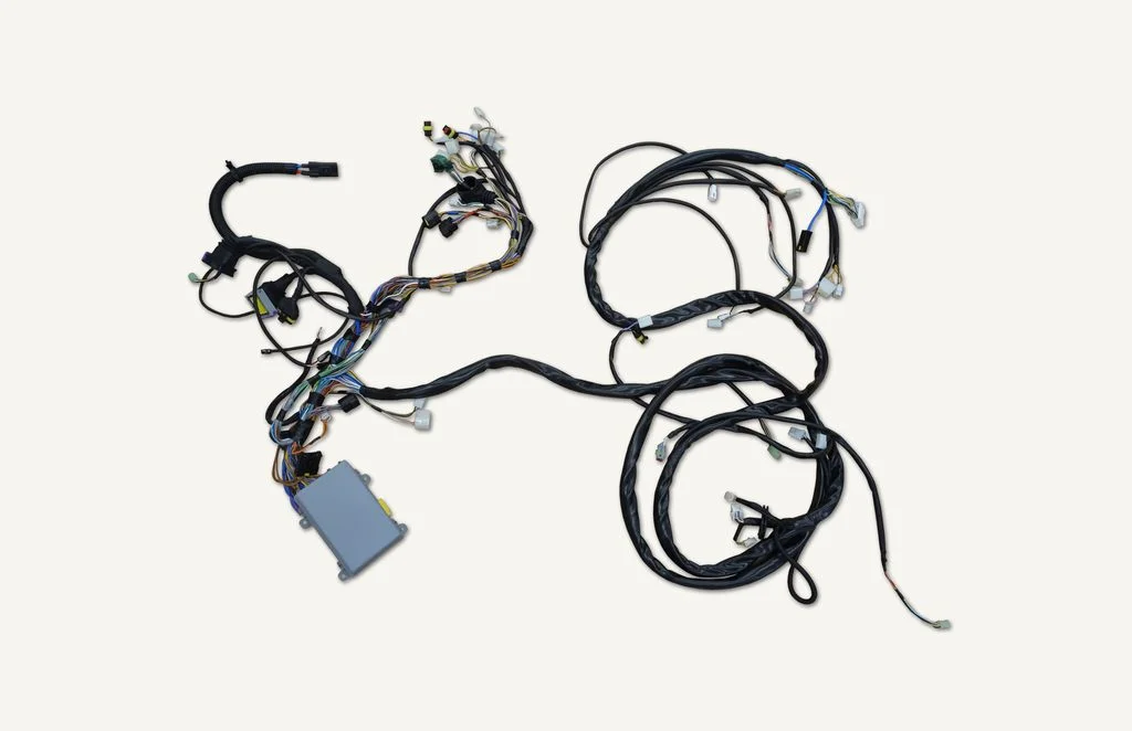 [1013493] Wiring Harness