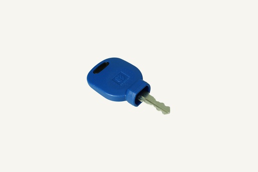 [1013948] Ignition key Key number 607