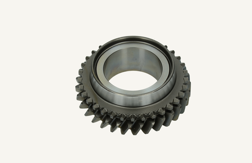 [1003156] Gear 31 teeth