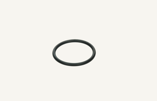 [1005030] Dichtung Motorenoelpumpe