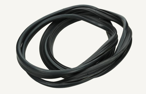 [1013426] Door glass rubber 4150mm