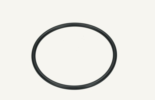 [1002401] O-Ring 5.33x94.62mm