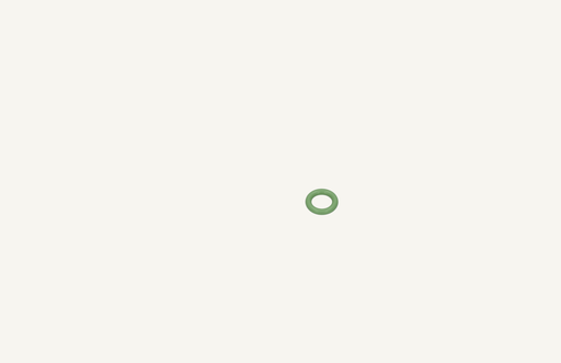[1003400] O-Ring grün 2.50x8.00mm