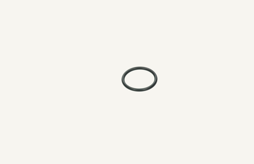 [1004042] O-Ring 2.62x23.46mm