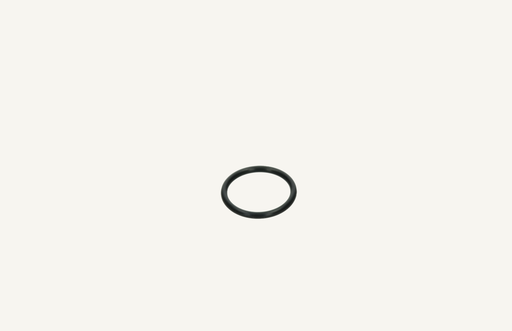 [1009811] O-Ring