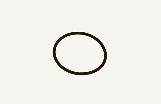 [1010068] O-Ring