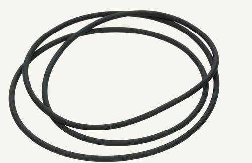 [1012676] O-Ring 3.53x242.90mm