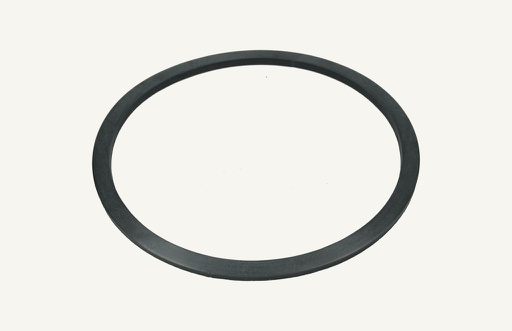 [1001756] Sealing ring filter 