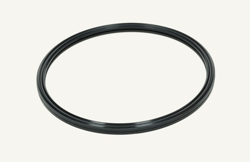 [1009110] Dichtring Luftfilter 