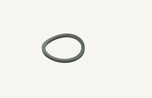 [1009416] Seal ring feed pump 