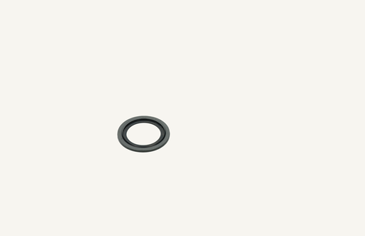 [1014010] Compound sealing ring 19x30x2mm