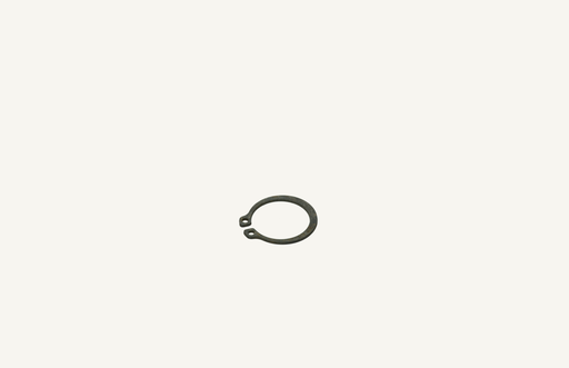 [1009885] Retaining ring A21