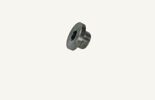 [1000675] Screw plug M22x1.5mm