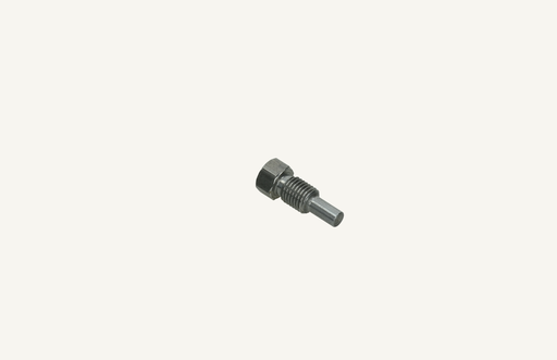 [1001751] Special screw M10x1.25x25mm