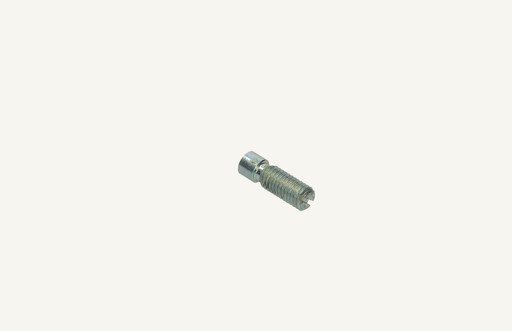 [1004589] Adjusting screw 8x1.25x25mm