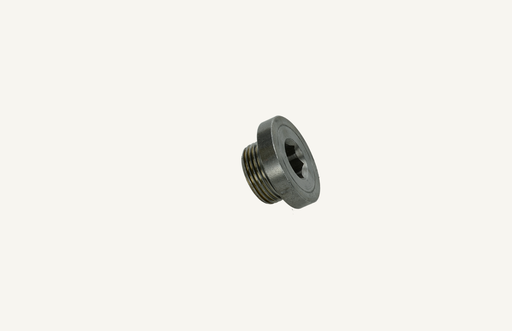 [1004907] Screw plug M22x1.5mm