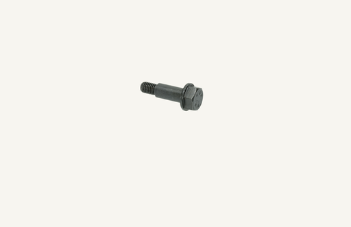 [1005247] Valve cover screw M8x1.25x33