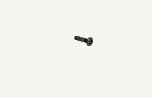 [1011933] Cross-head screw M6x20mm