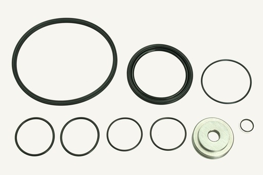 [1060868] Gasket set Conax clutch Pauli