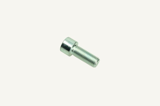 [1080734] Hexagon socket head screw M20x2.5x50mm 8.8