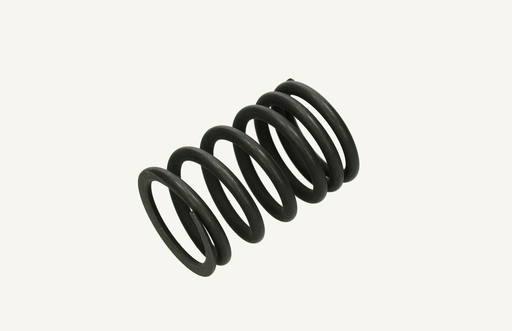 [1003557] Valve spring 55x36mm